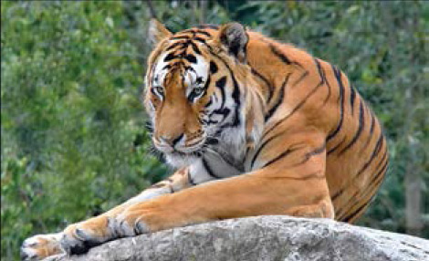 hodonin-zoo